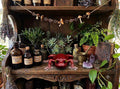 Handcrafted Epoxy Resin Frog Figurine - Gothic Home Decor